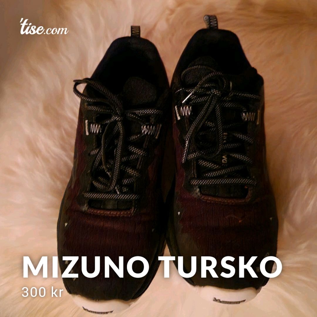 Mizuno Tursko