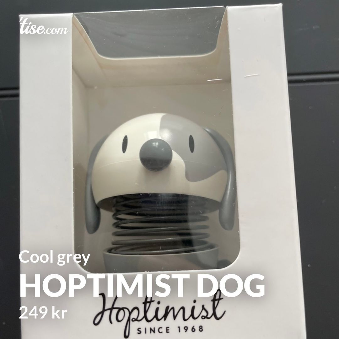 Hoptimist dog