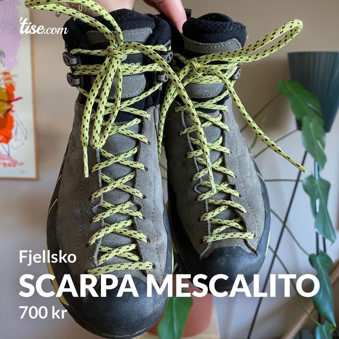 Scarpa Mescalito