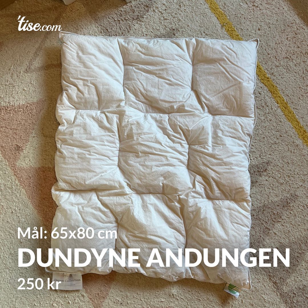 Dundyne Andungen