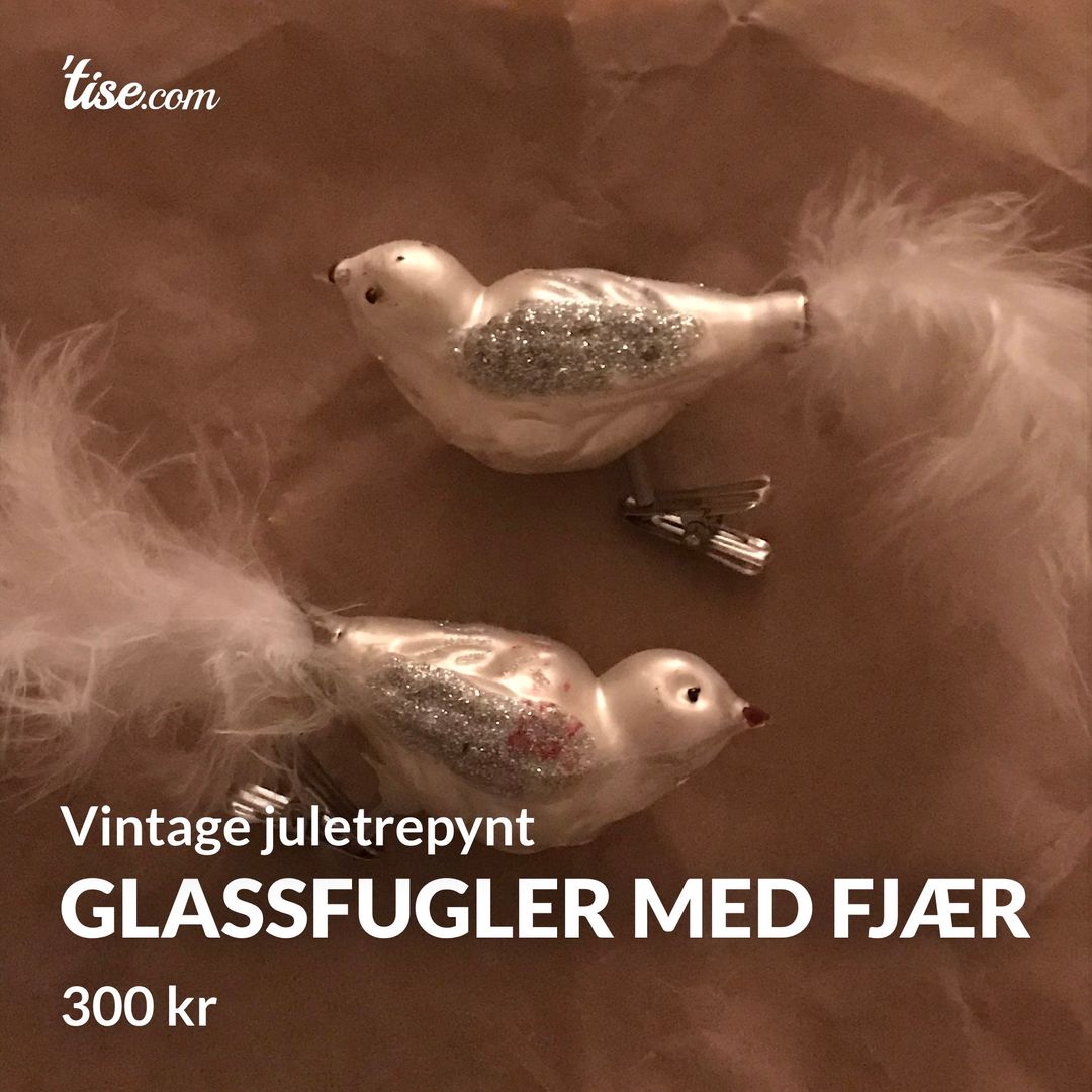 Glassfugler med fjær