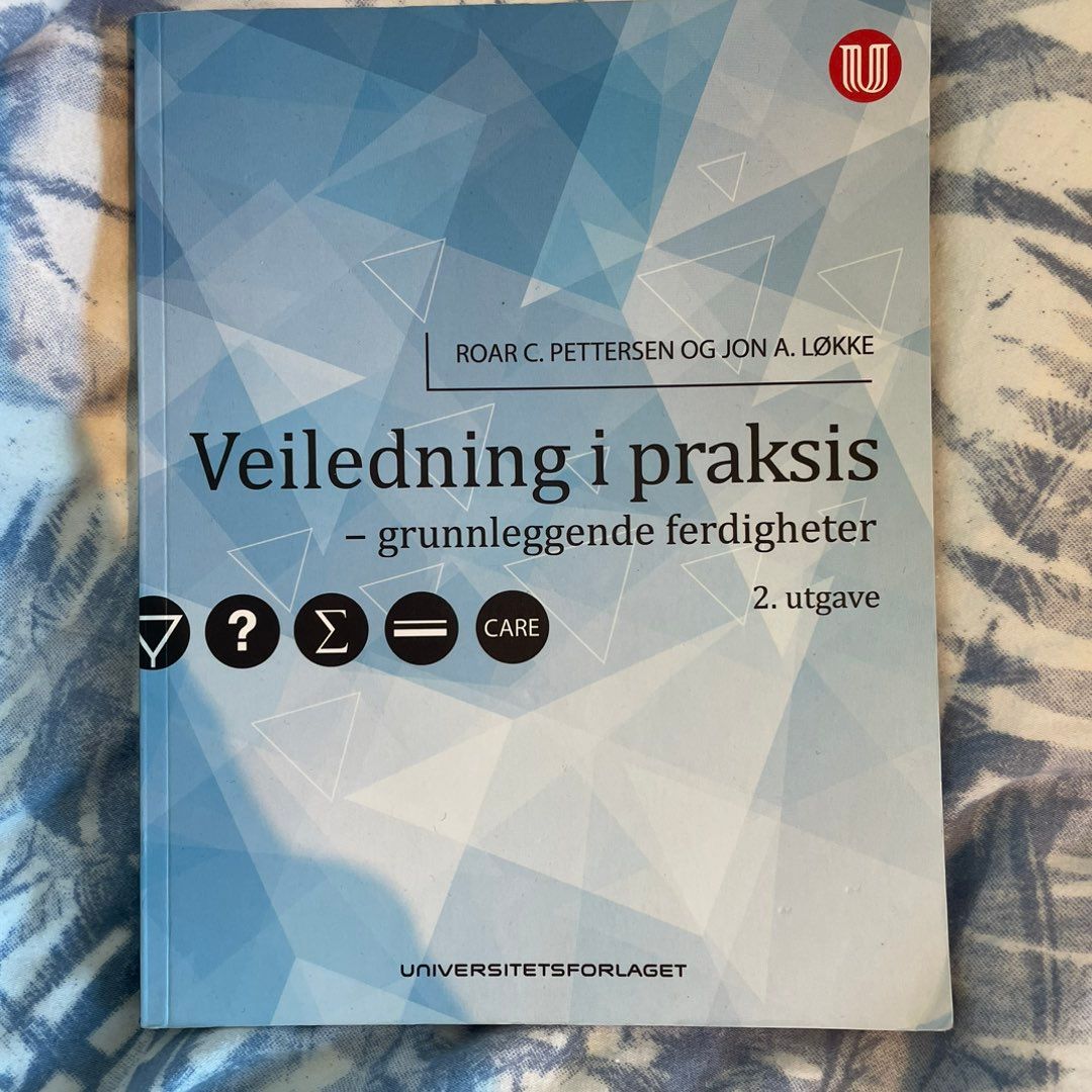 Veiledning i praksis