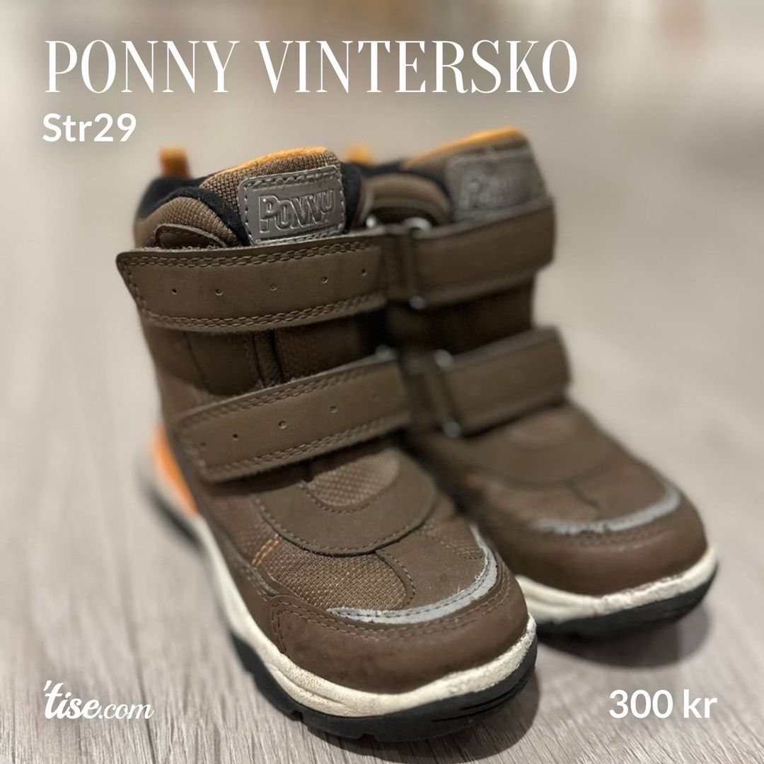 Ponny vintersko