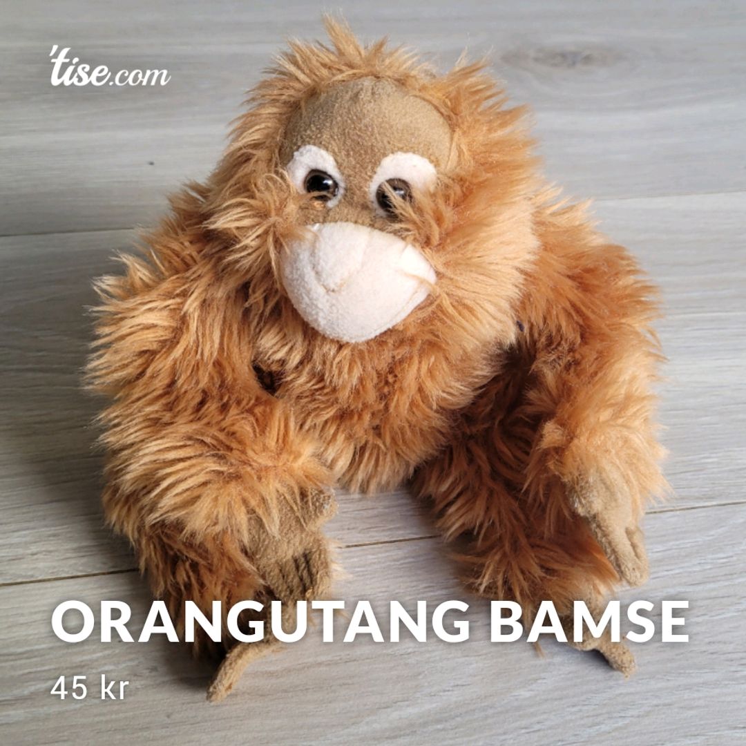 Orangutang Bamse