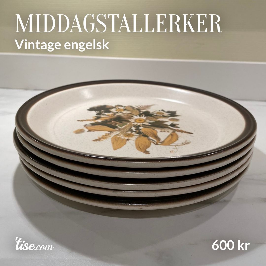 Middagstallerker