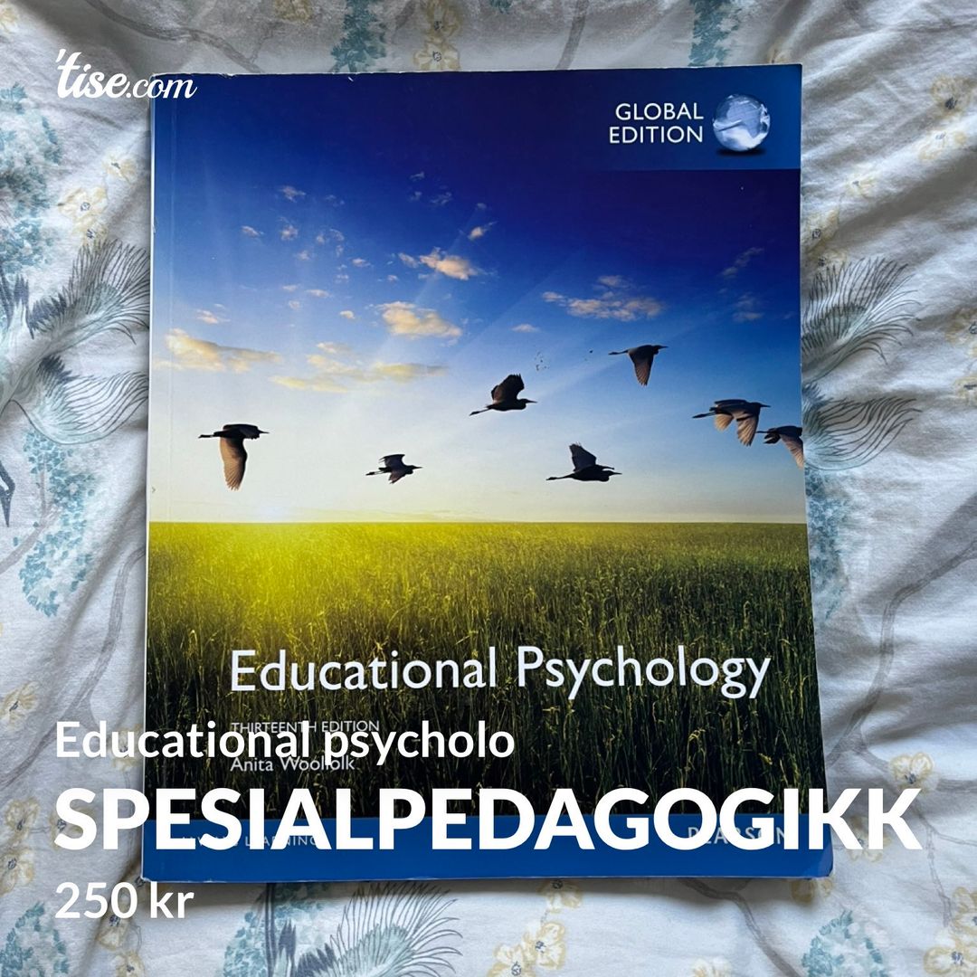 Spesialpedagogikk