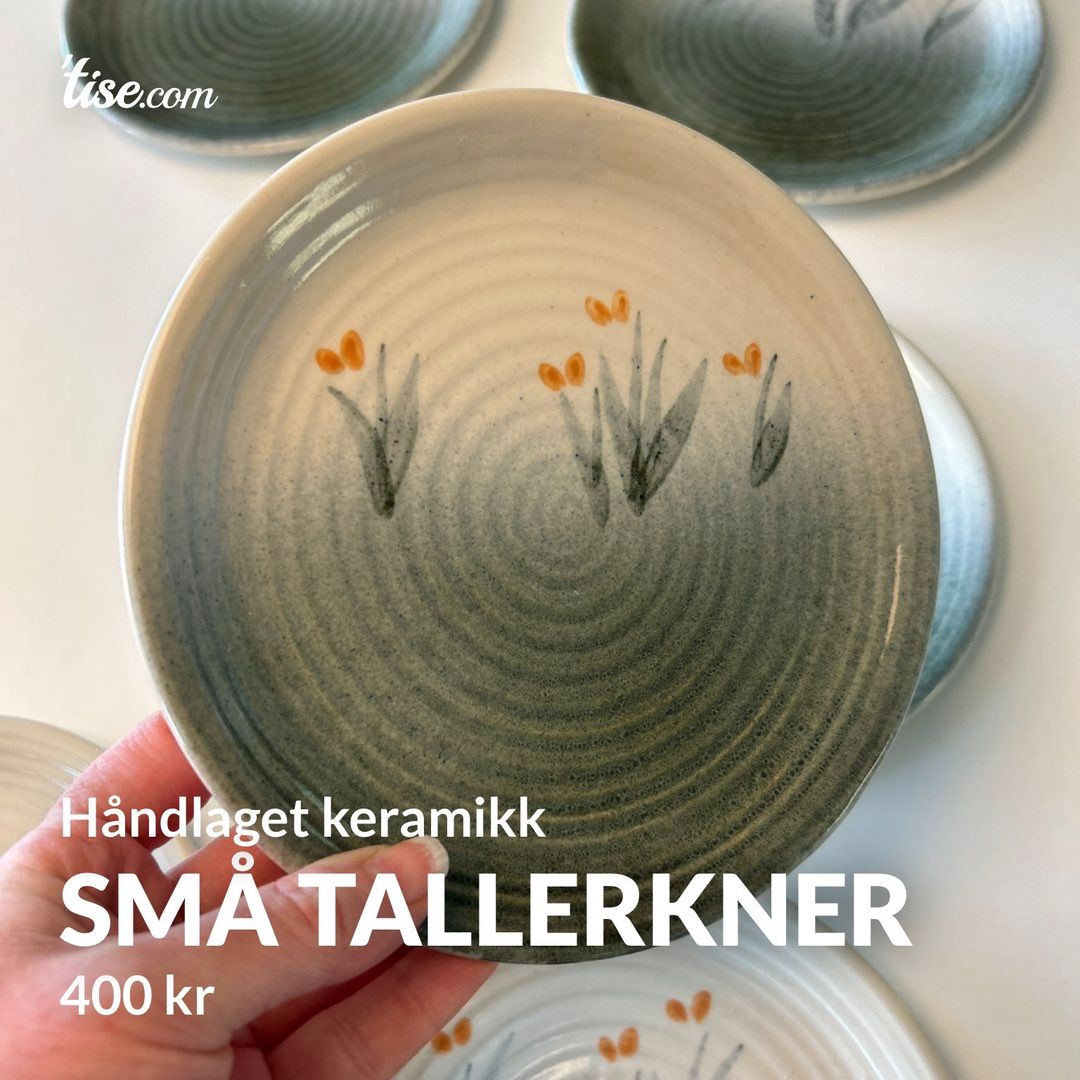 Små tallerkner