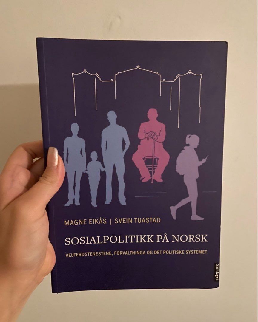 Sosialpolitikk