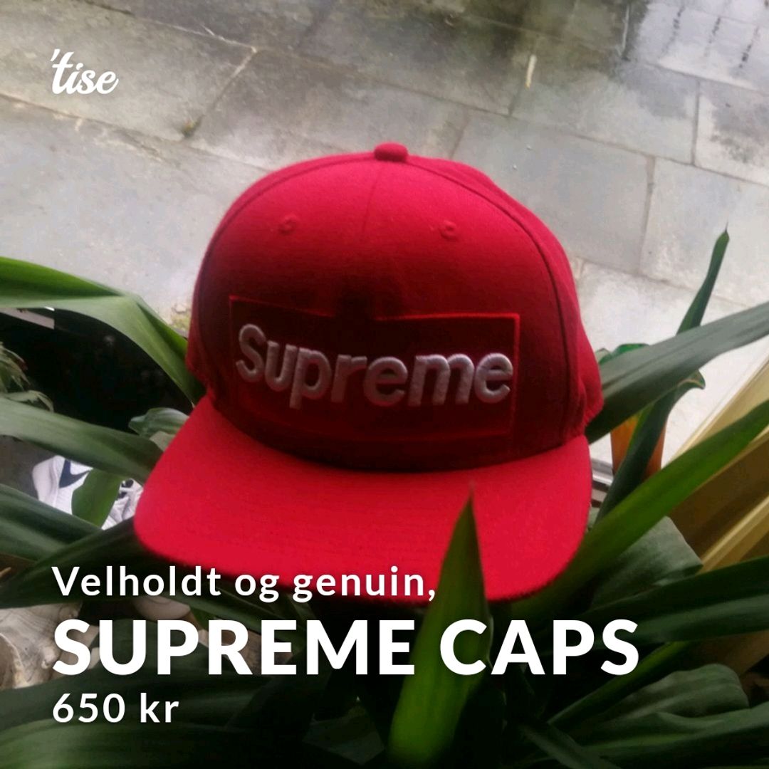 Supreme Caps