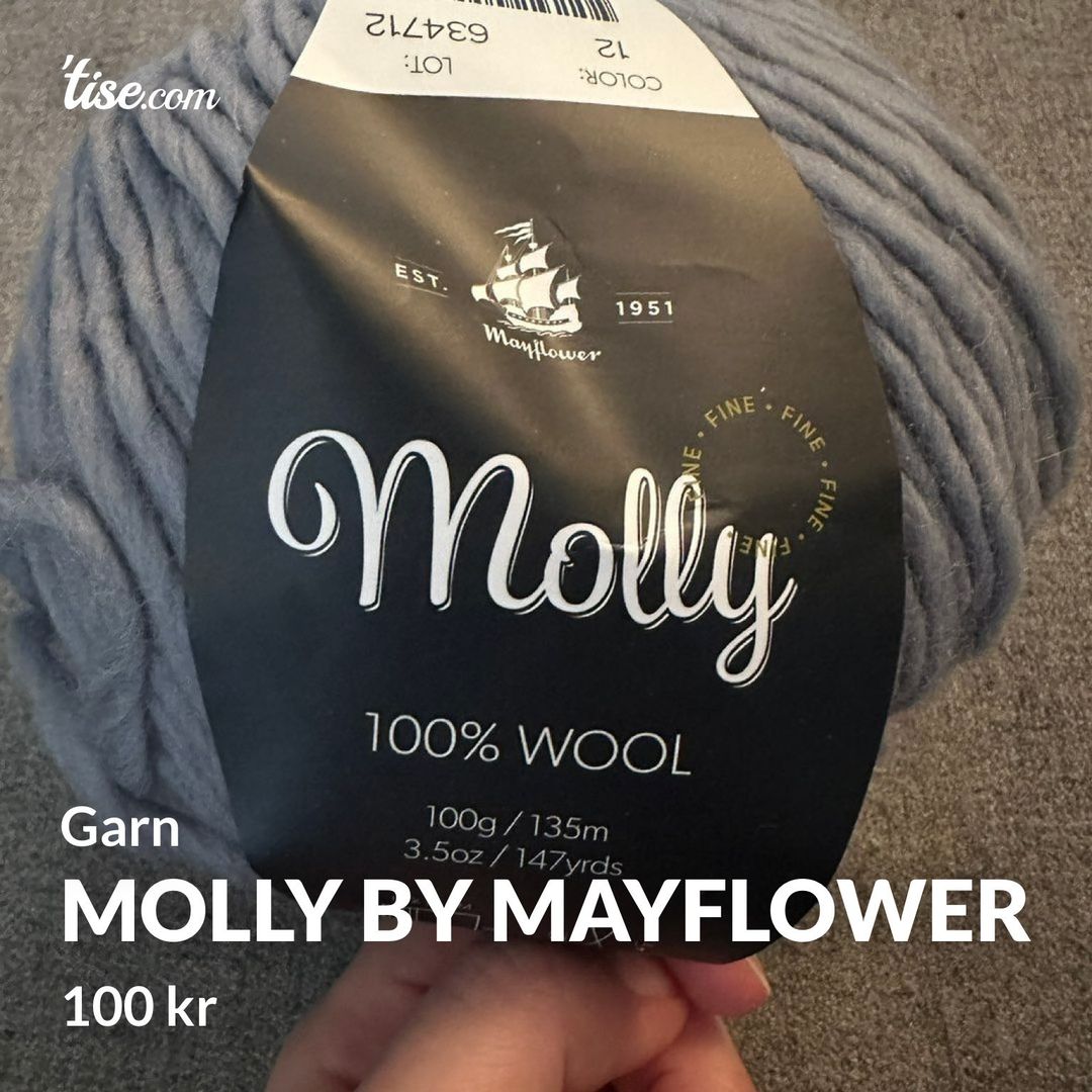 Molly by Mayflower