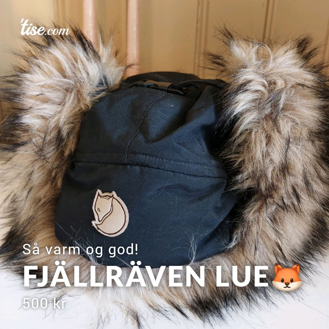 Fjällräven Lue🦊