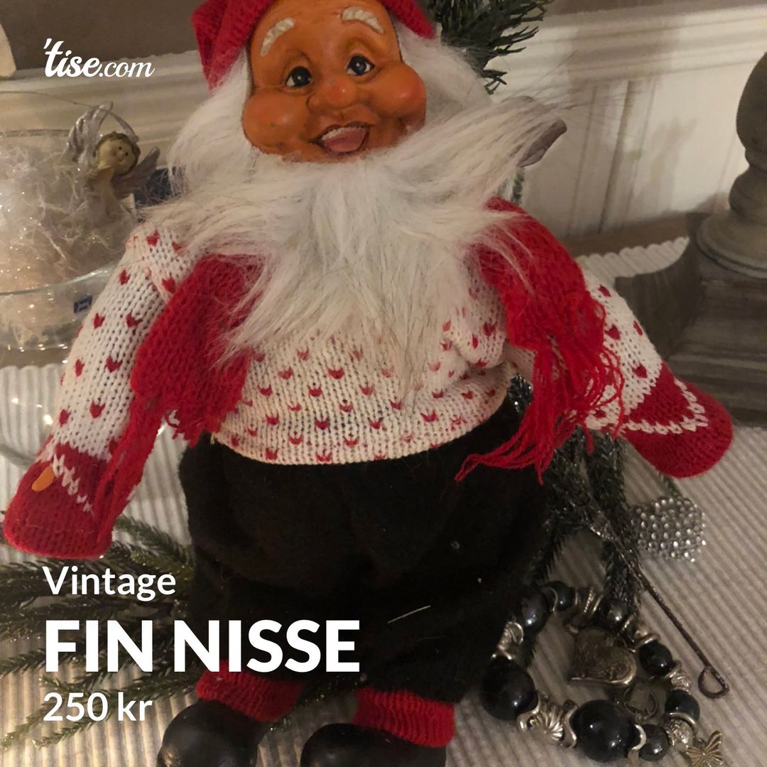 Fin nisse