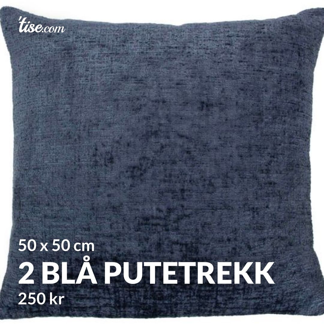 2 blå putetrekk