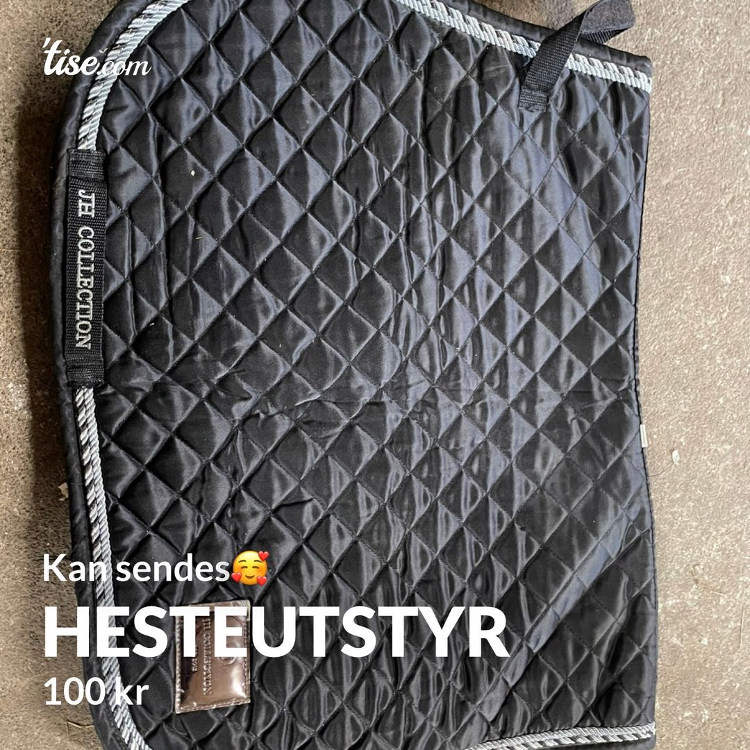 Hesteutstyr