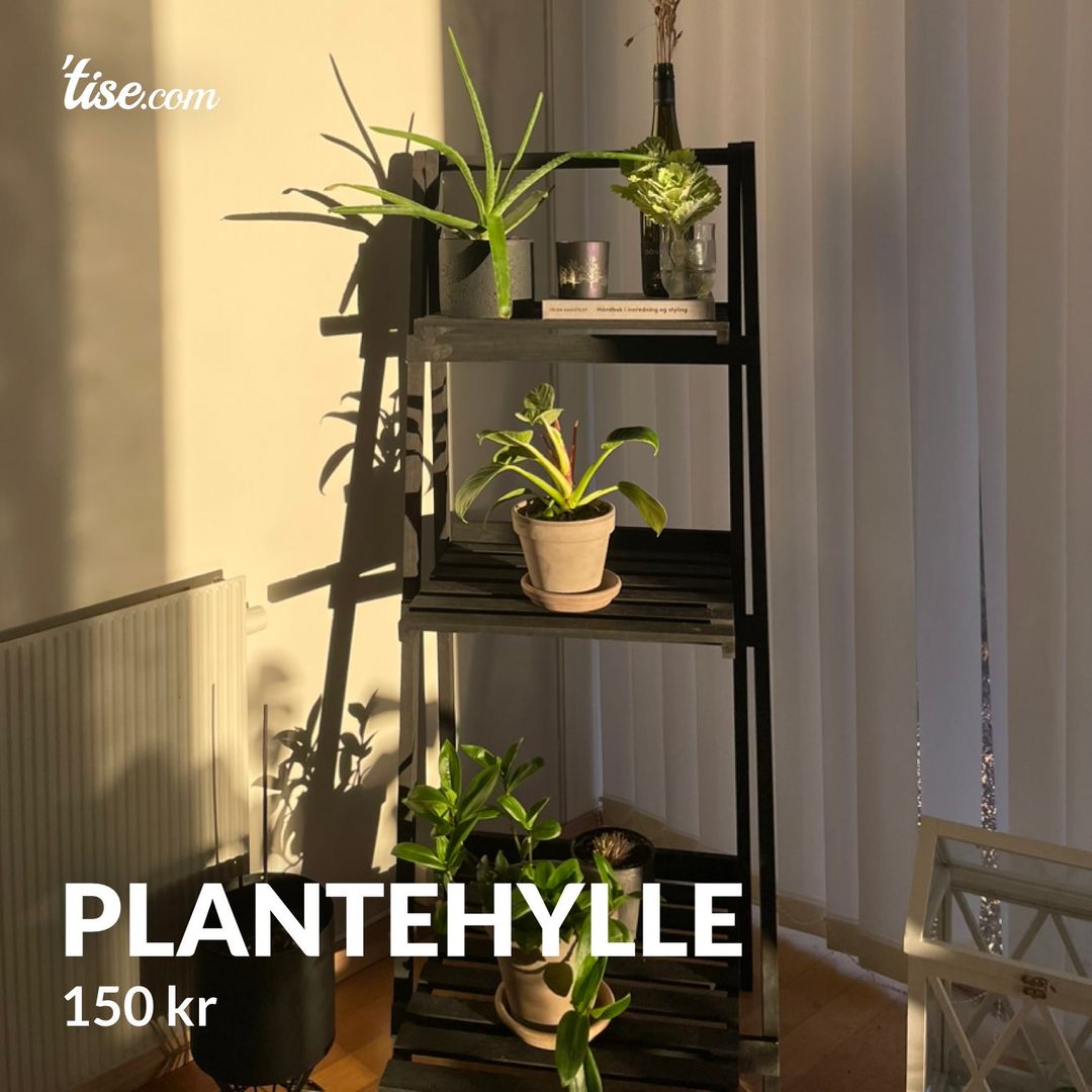 Plantehylle