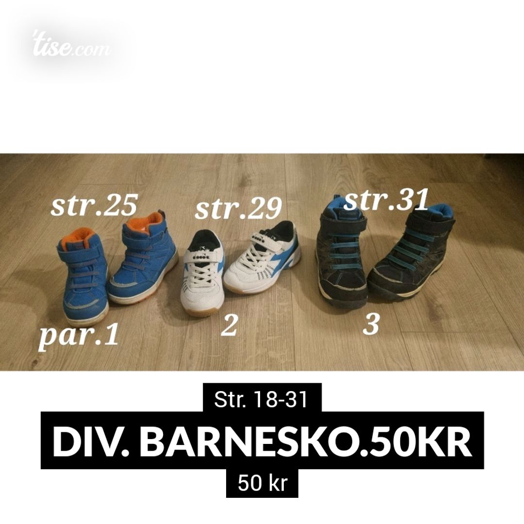 Div Barnesko50kr