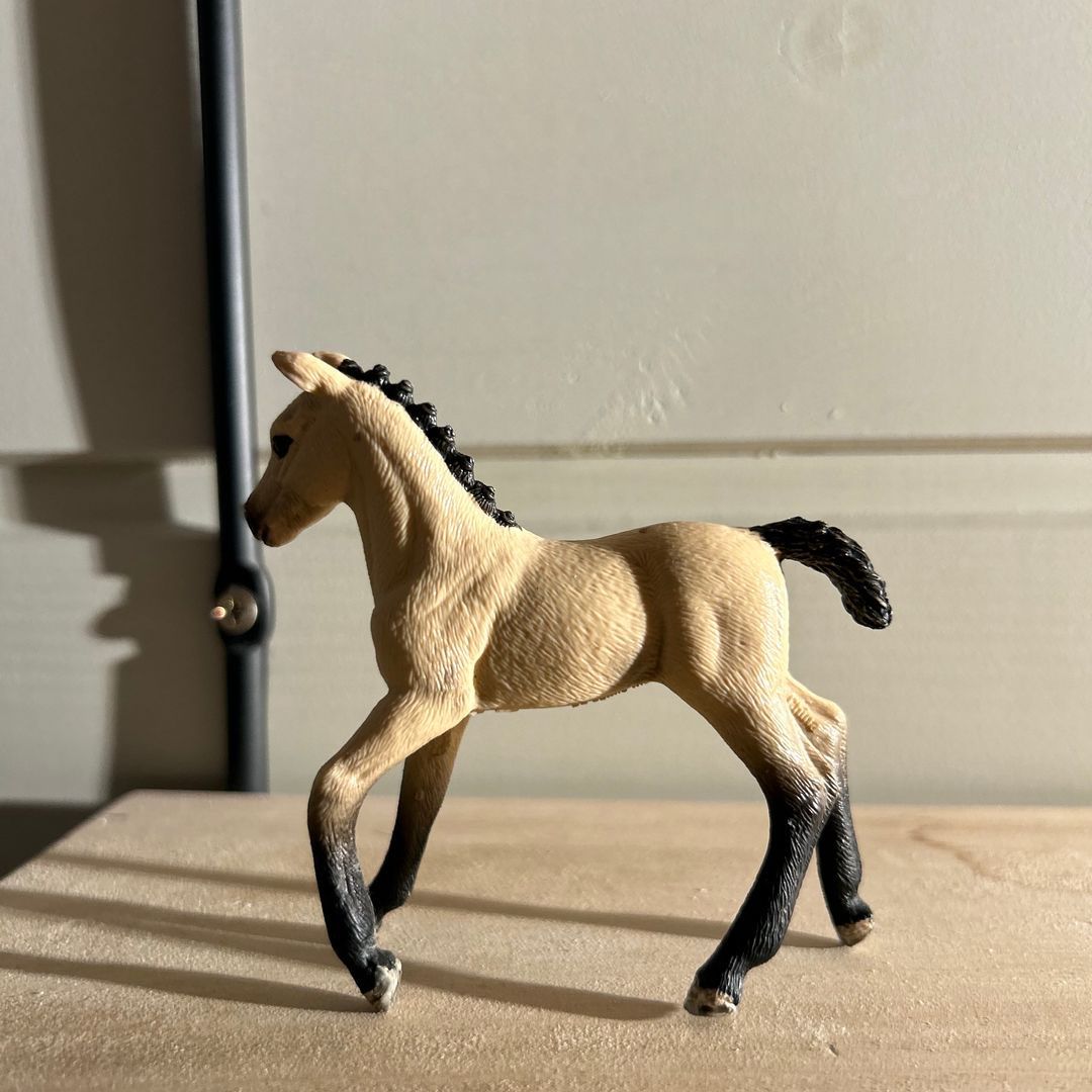 Schleich hest