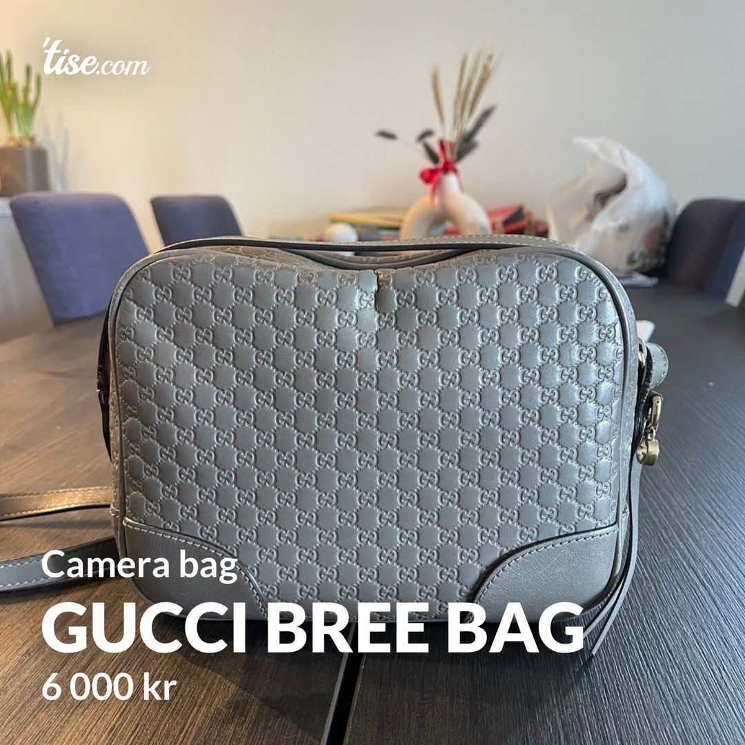 Gucci Bree bag