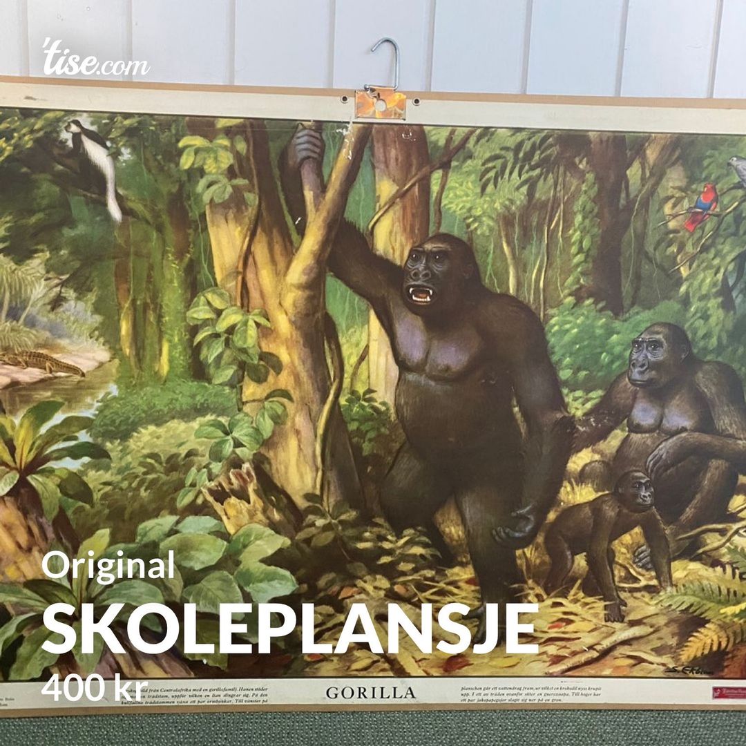 Skoleplansje