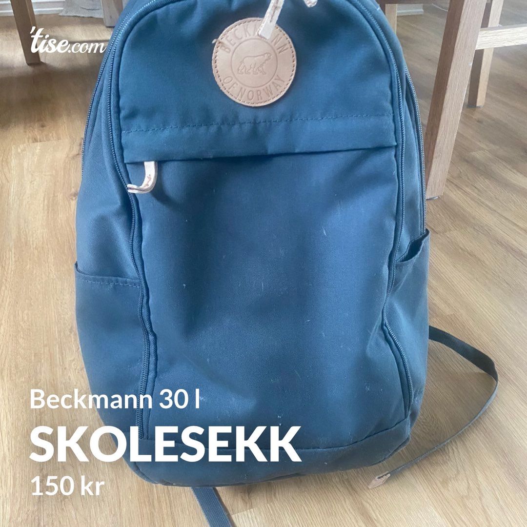 Skolesekk