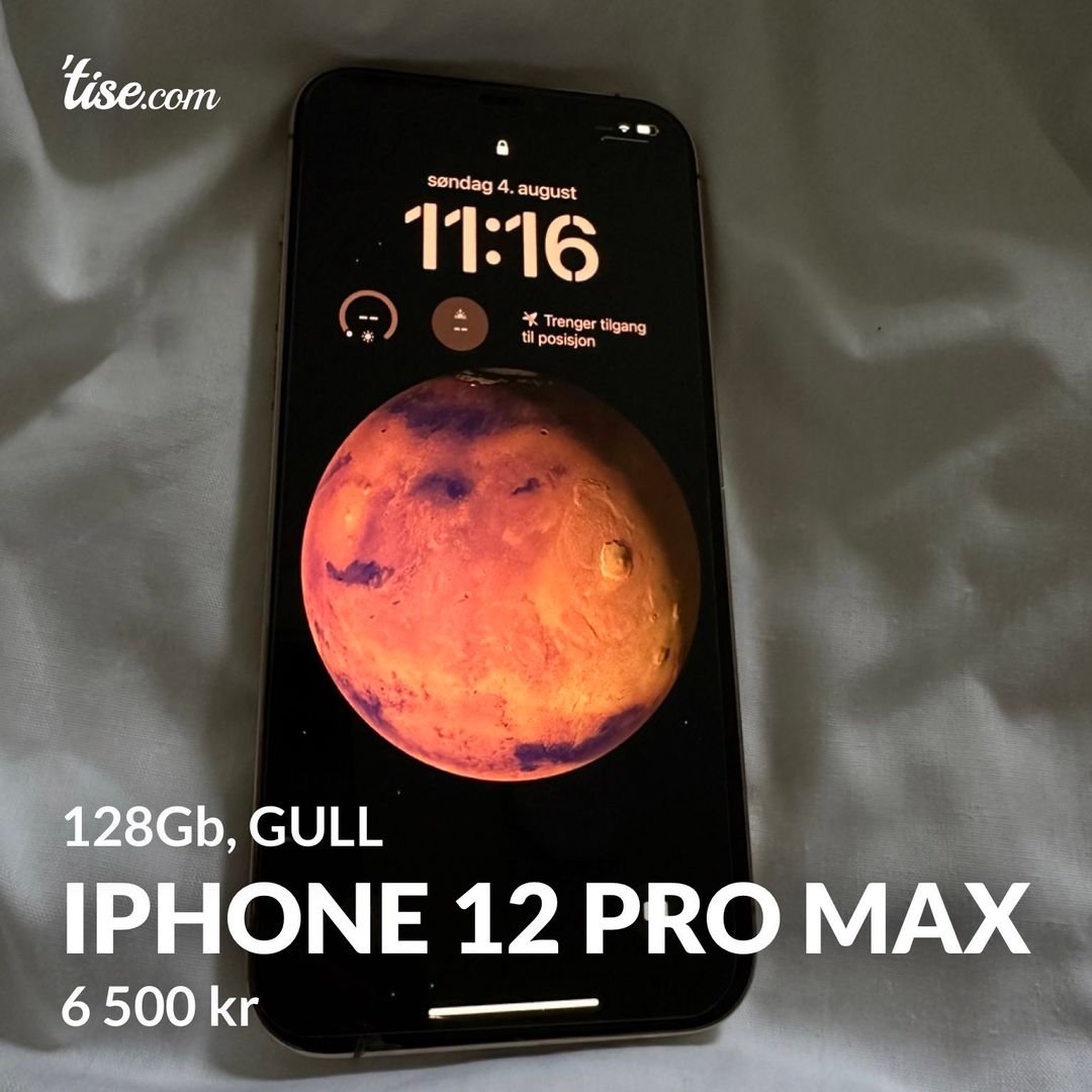 iPhone 12 pro max