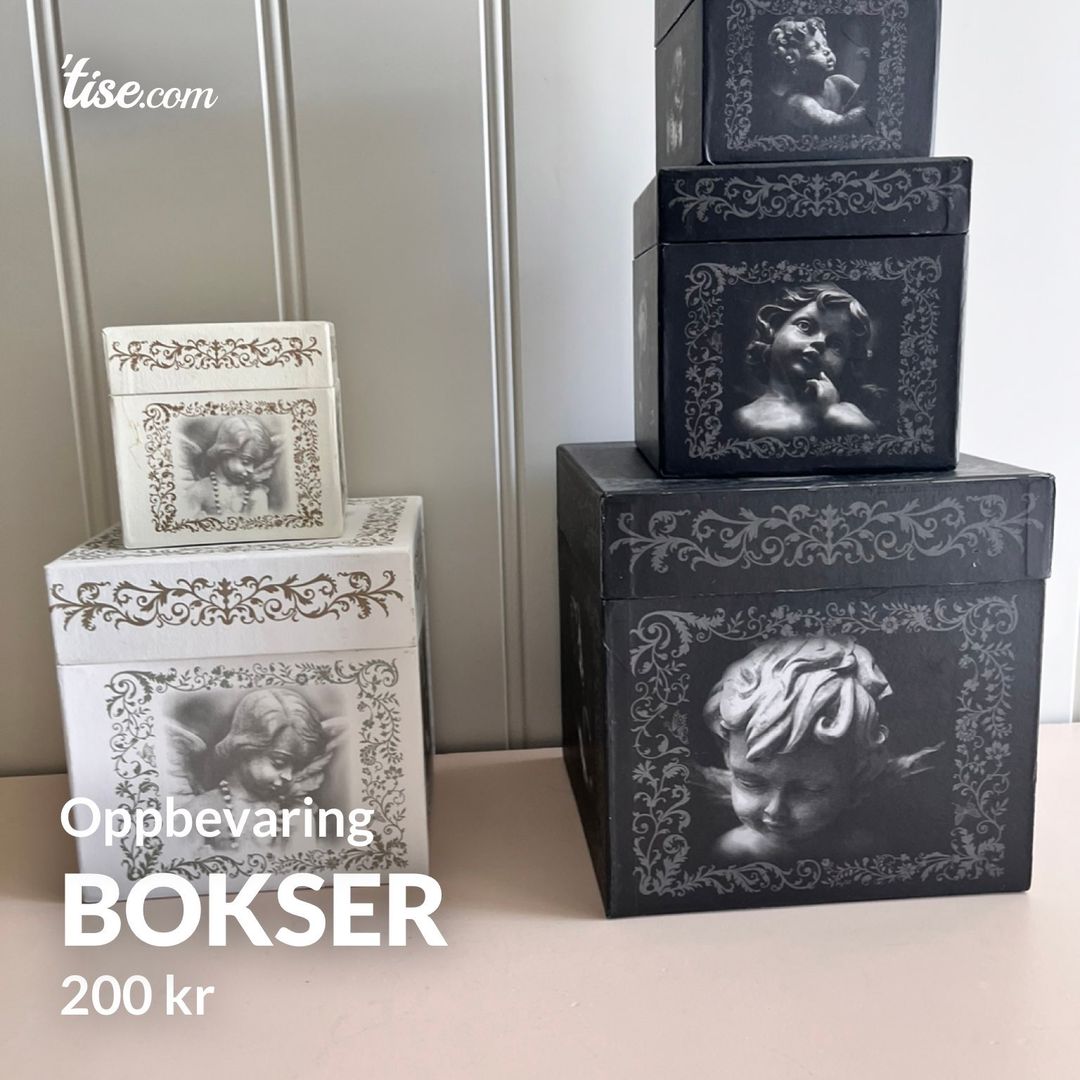 Bokser