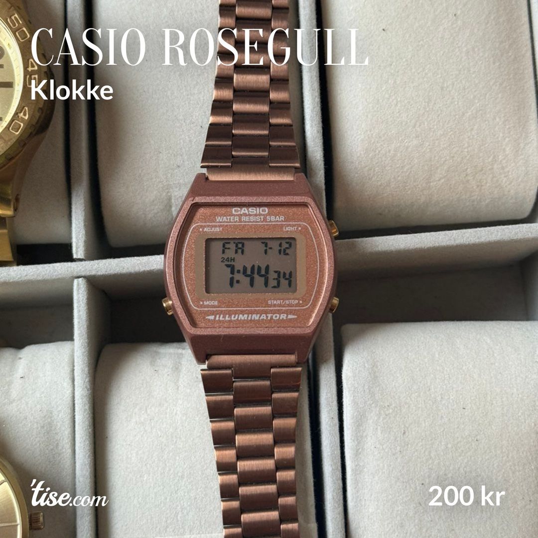 Casio rosegull