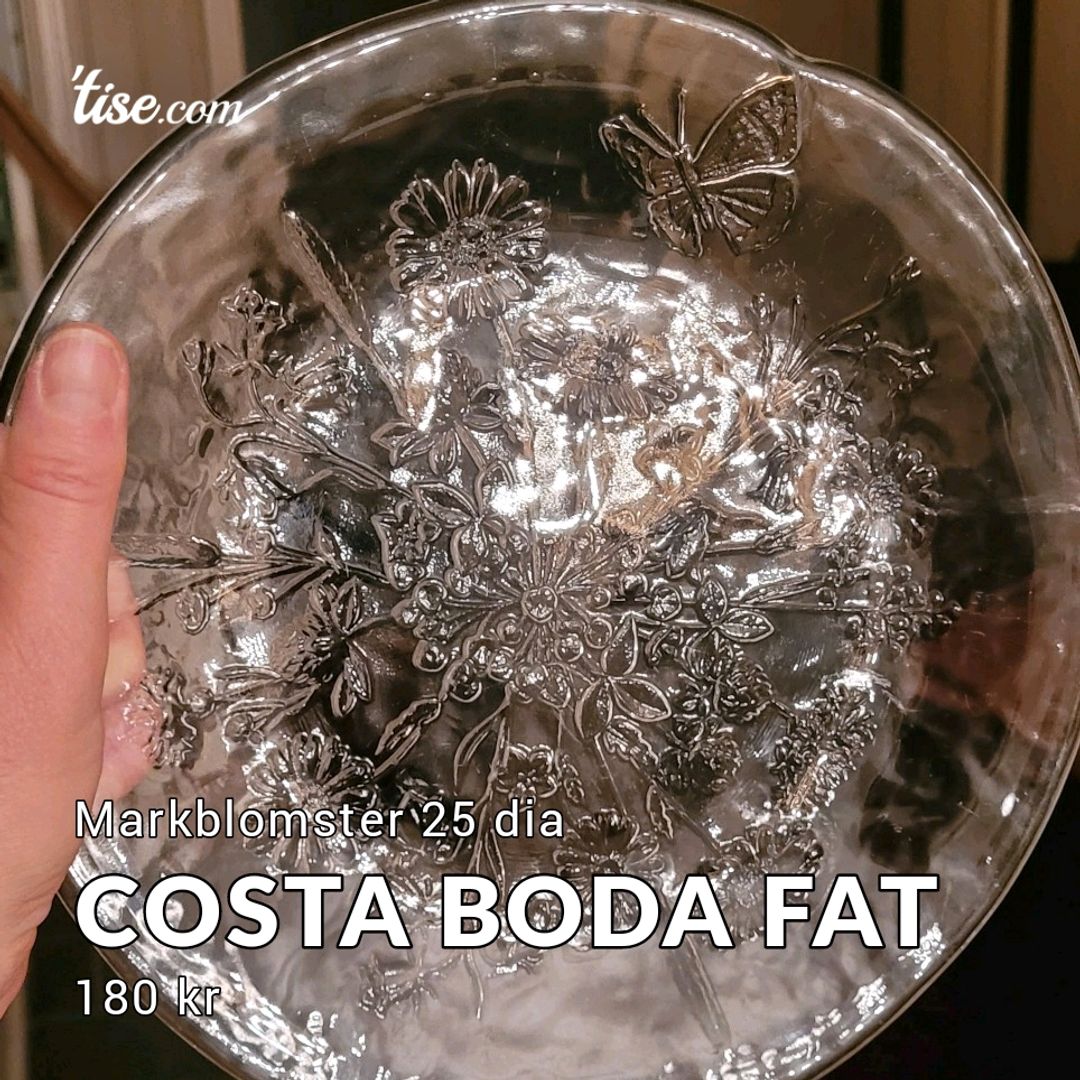 Costa Boda fat