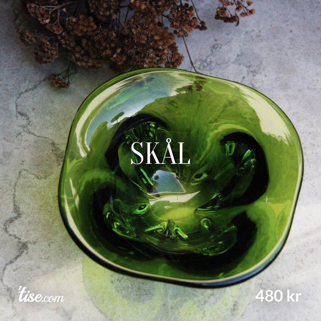 Skål