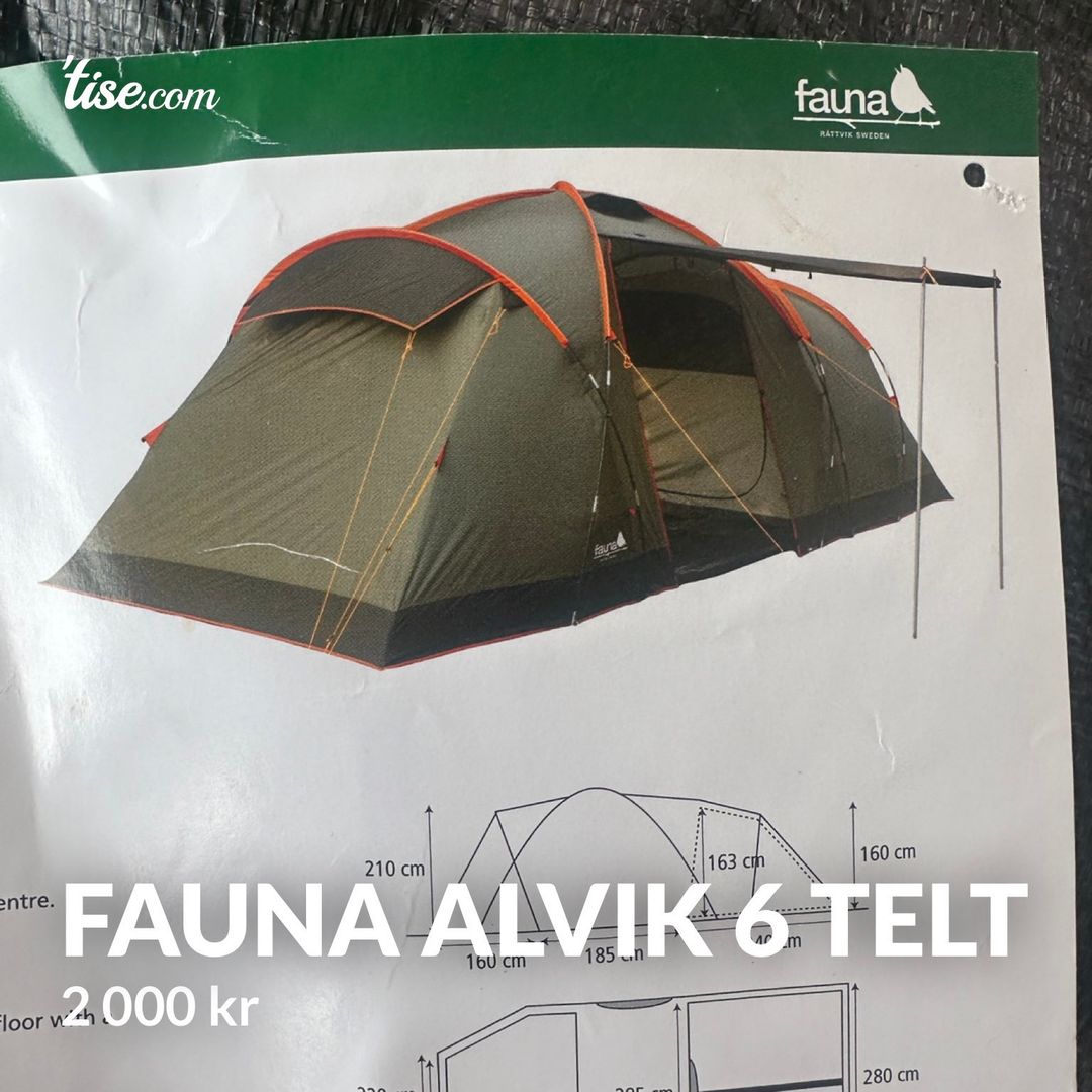 Fauna Alvik 6 Telt