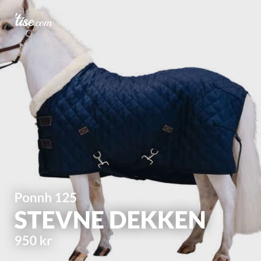 Stevne dekken