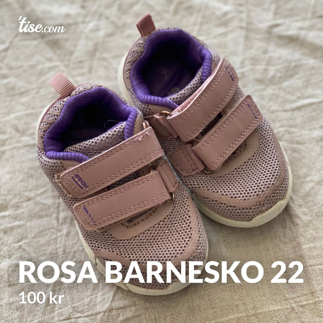 Rosa barnesko 22