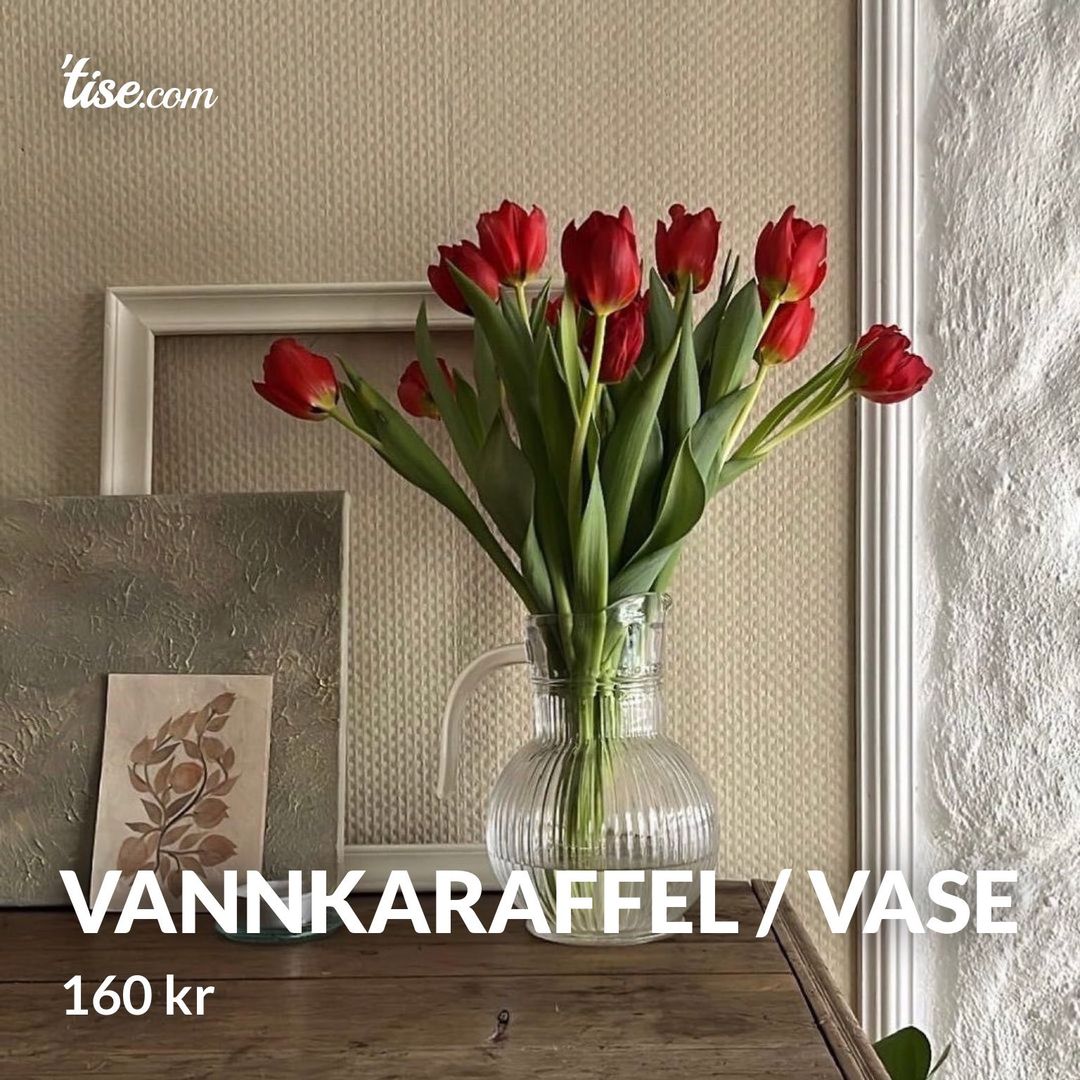 Vannkaraffel / Vase