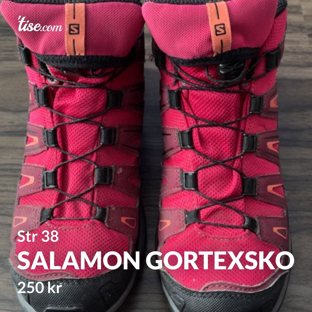 Salamon gortexsko