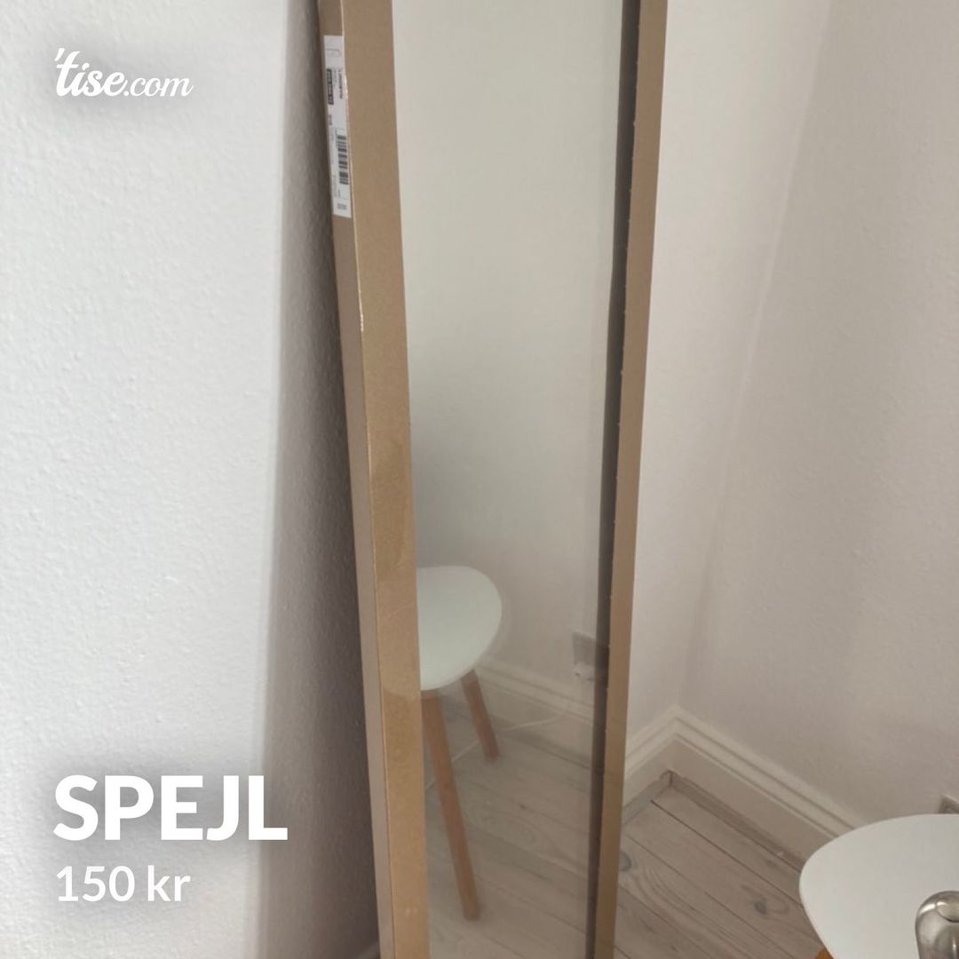 Spejl