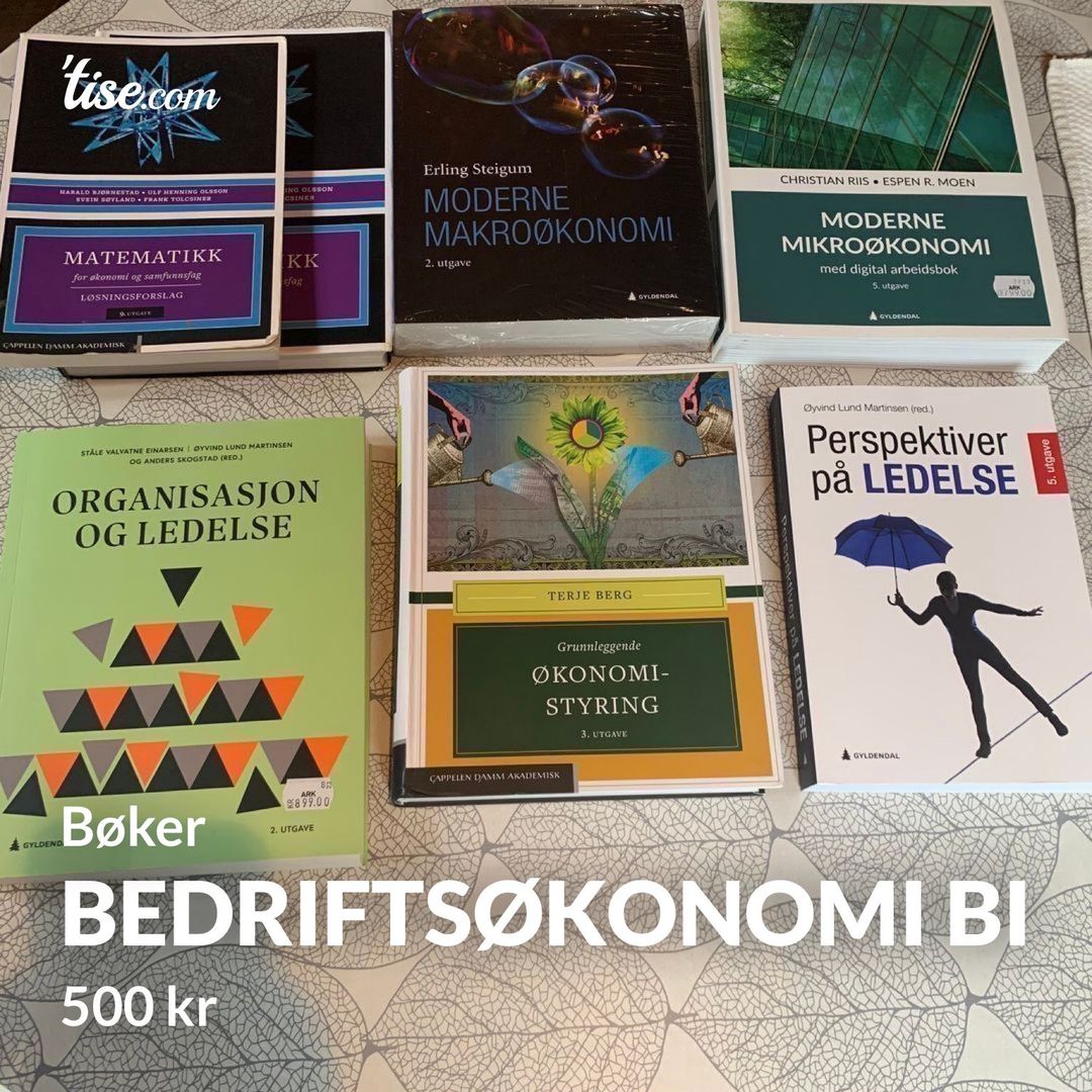 Bedriftsøkonomi BI