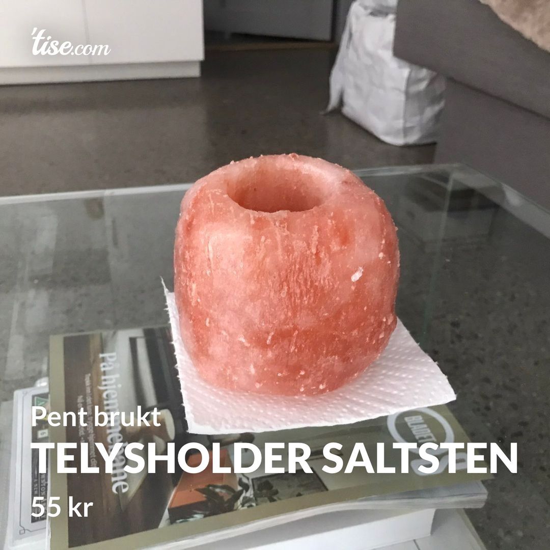 Telysholder saltsten