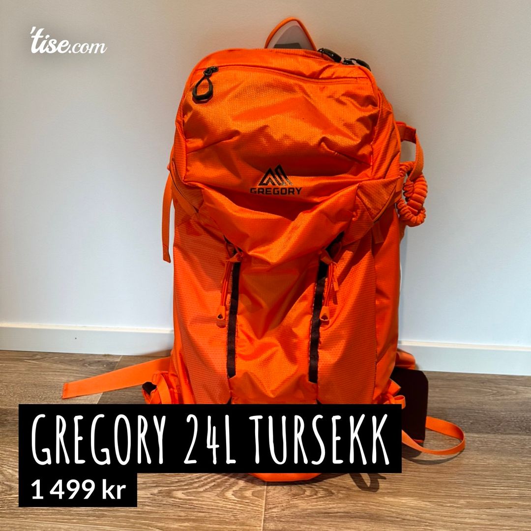 Gregory 24l tursekk