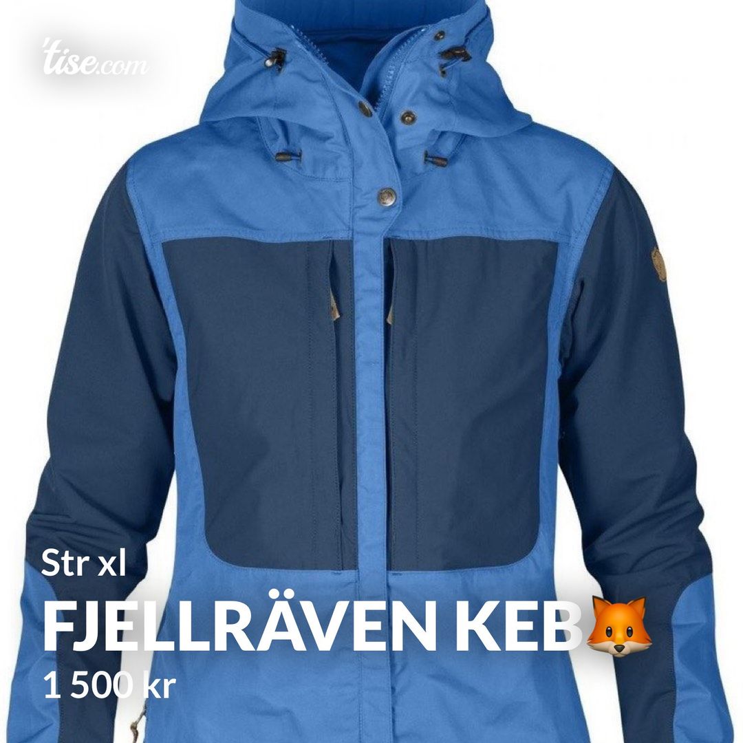 Fjellräven keb🦊