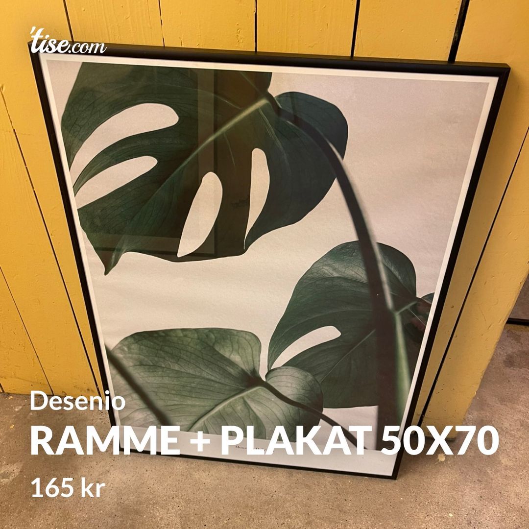 Ramme + plakat 50x70