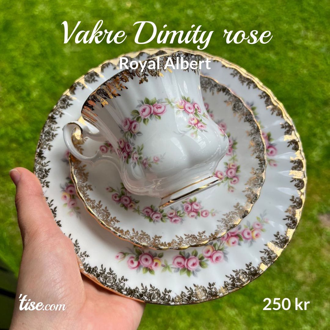 Vakre Dimity rose