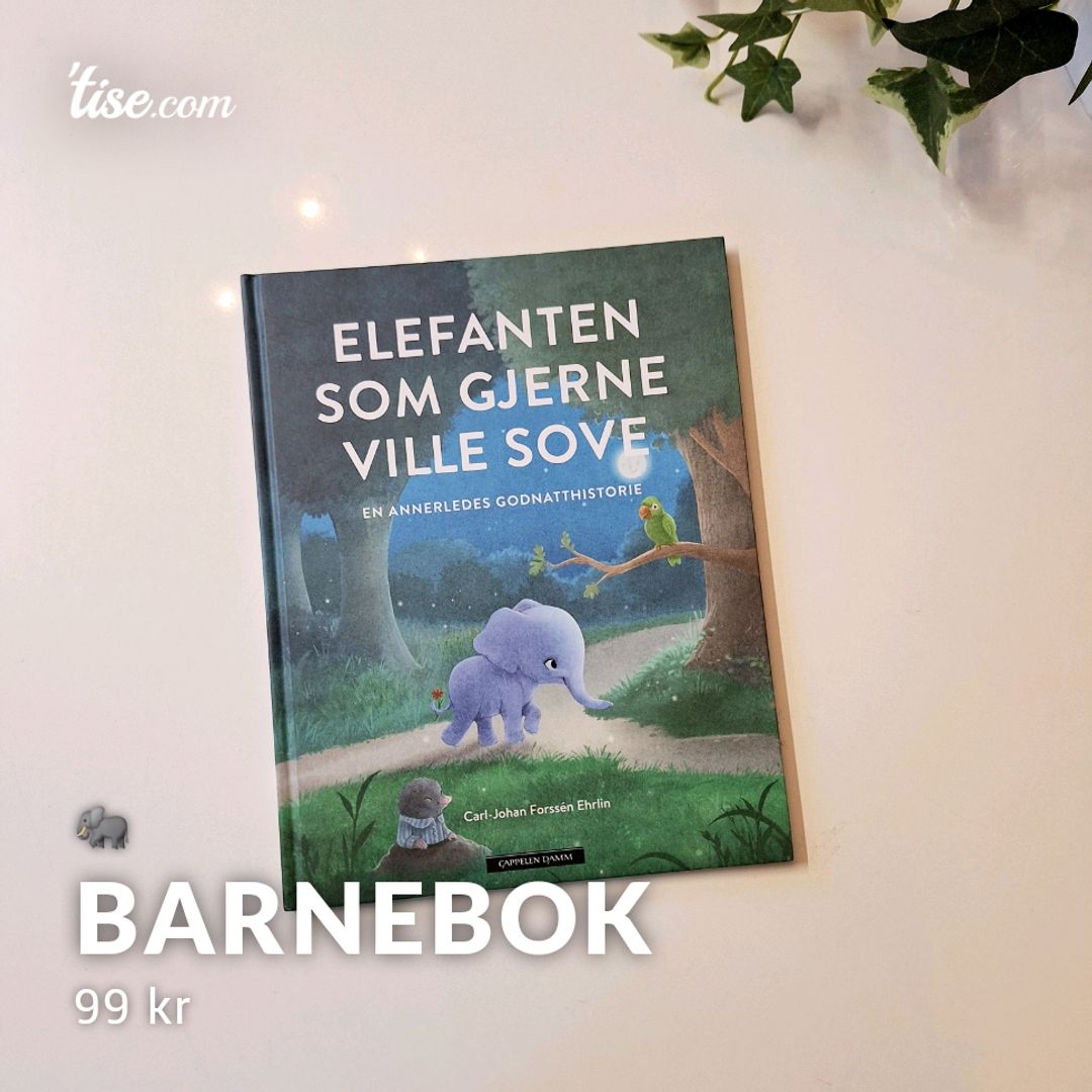 Barnebok