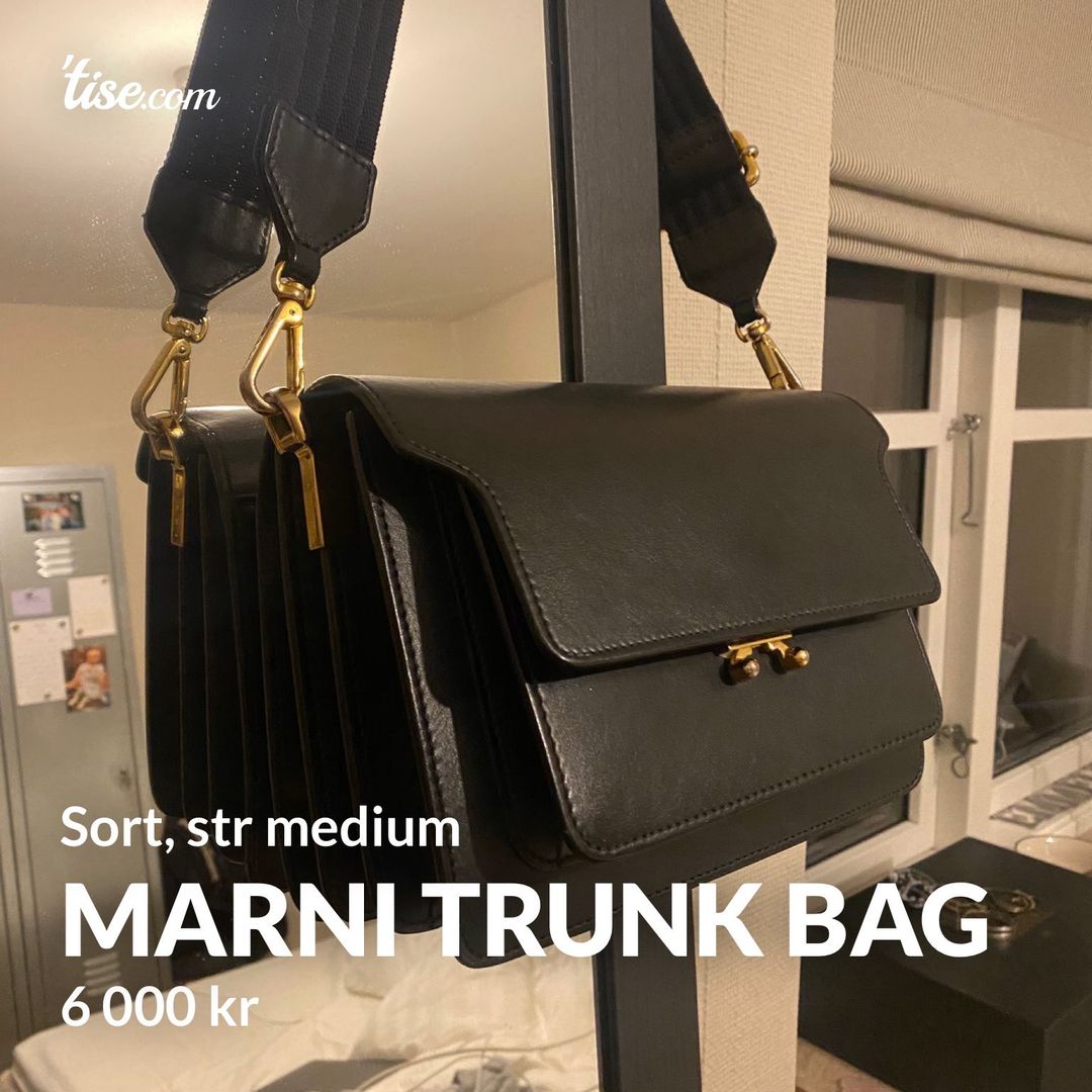 Marni trunk bag