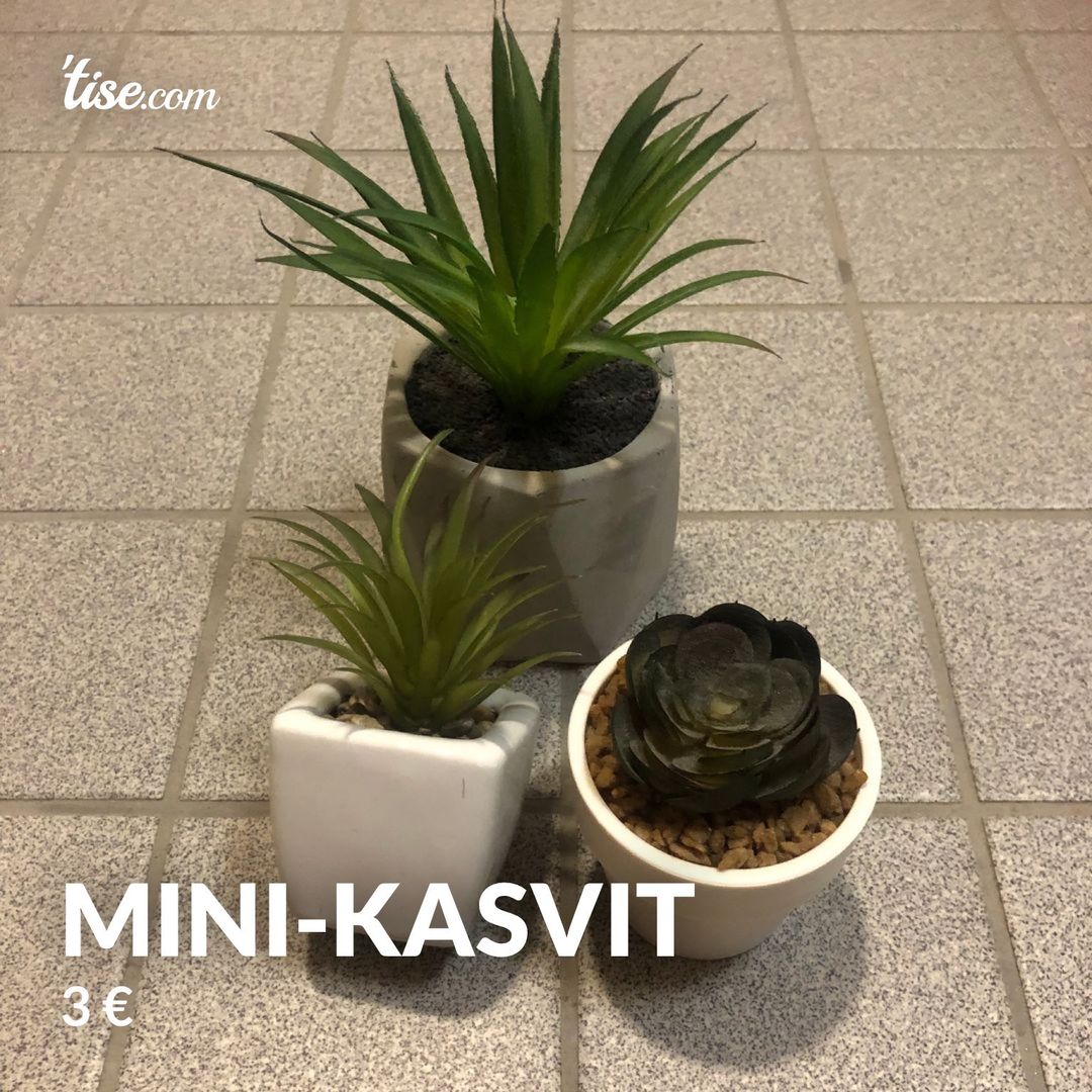 MINI-kasvit