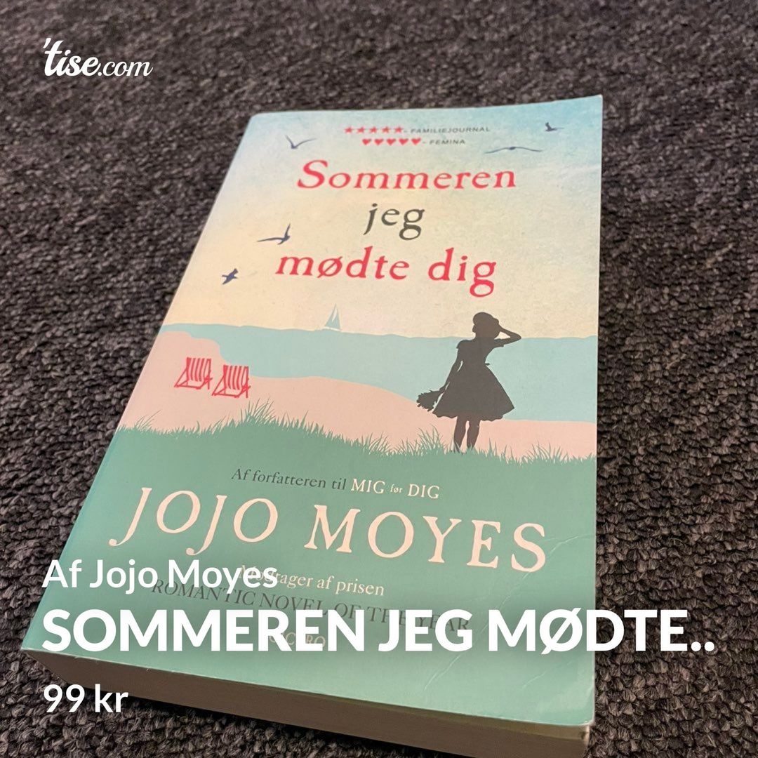 Sommeren jeg mødte