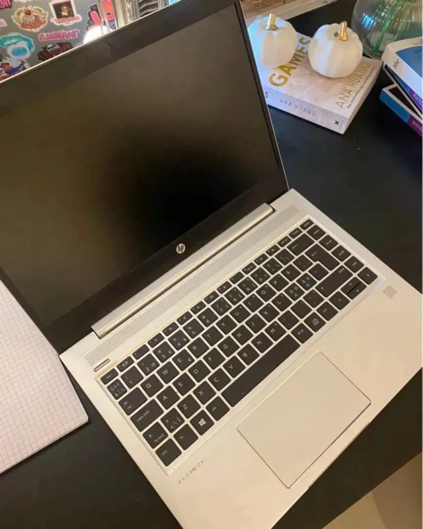 HP ProBook 455 G7