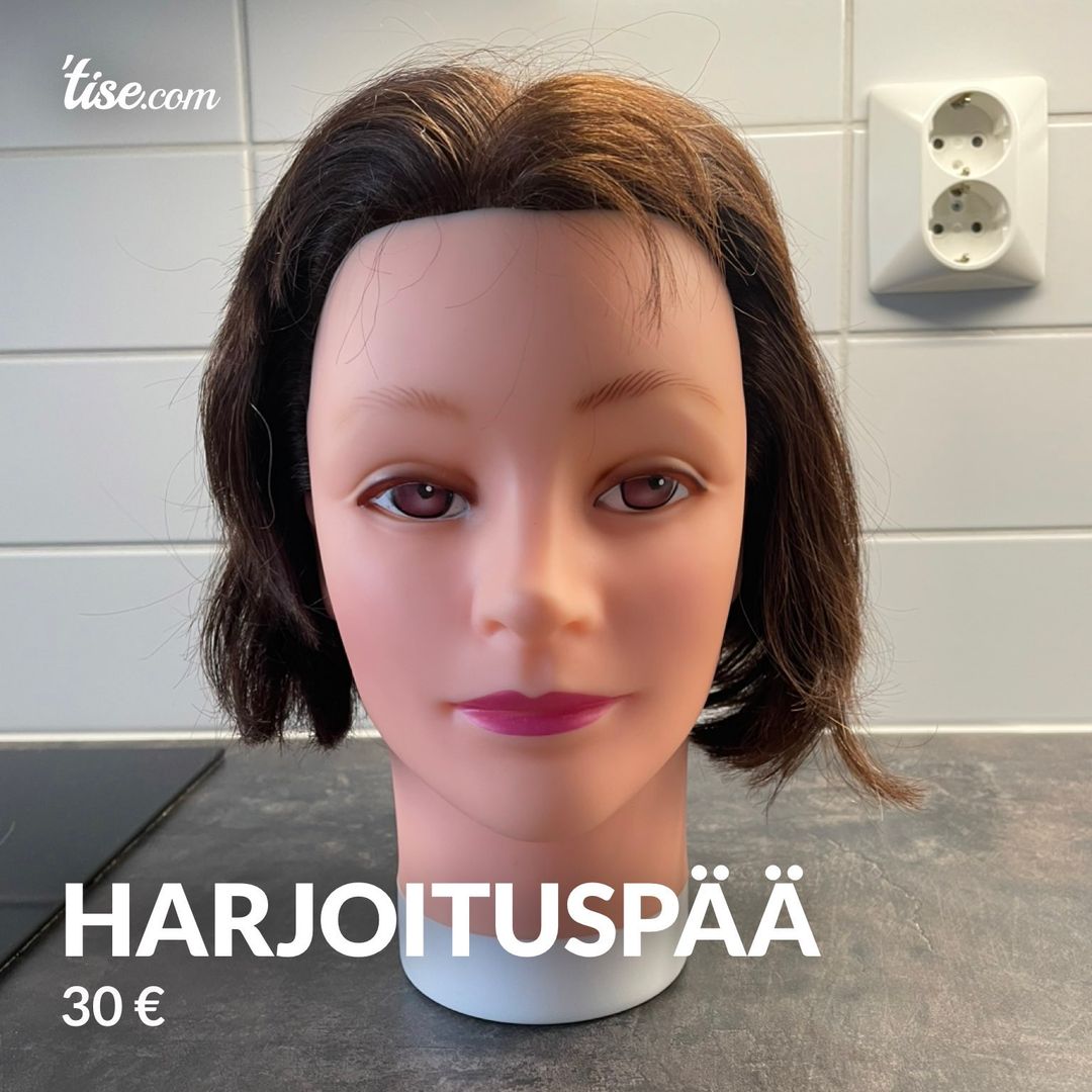 HARJOITUSPÄÄ