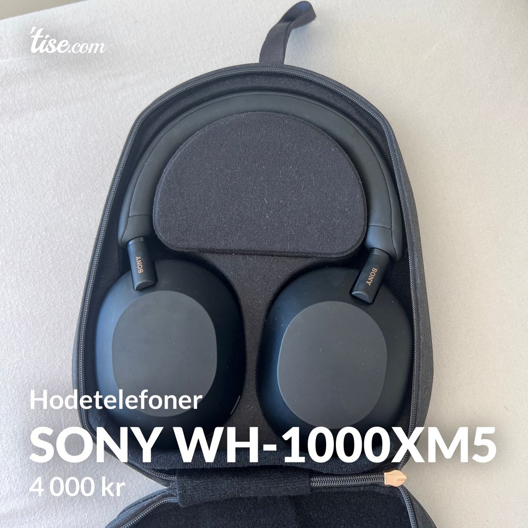 Sony WH-1000XM5