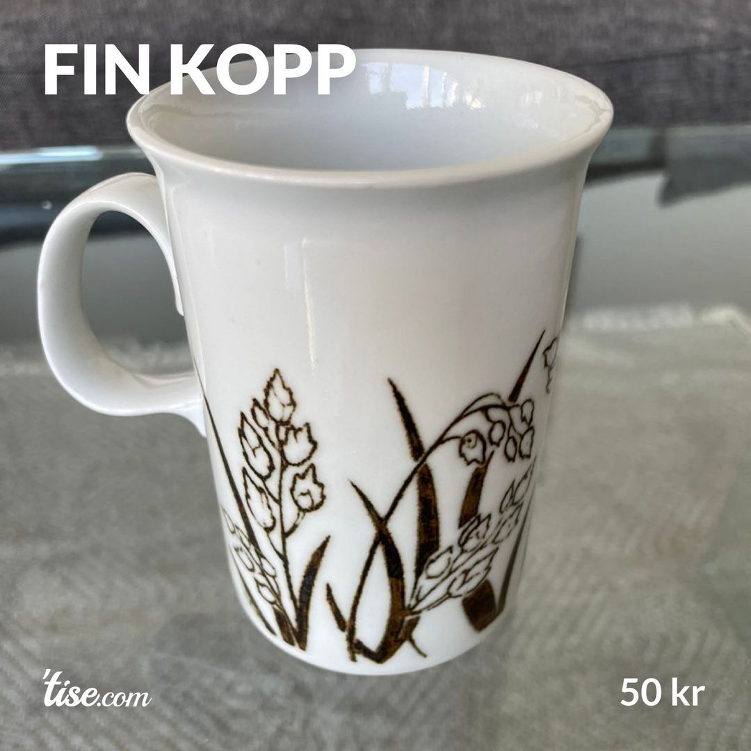 Fin kopp