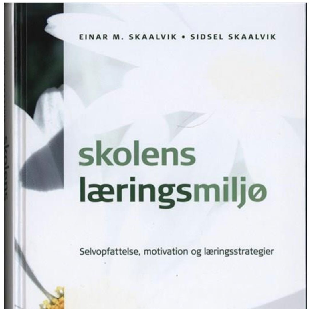 Skolens læringsmiljø